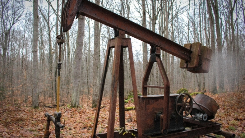 Abandoned oil pumpjack standing in a wooded area