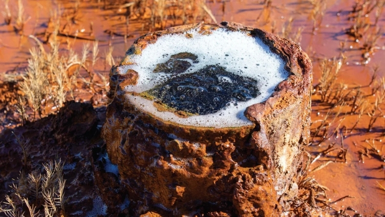 Methane bubbling from an abandoned oil well at the surface