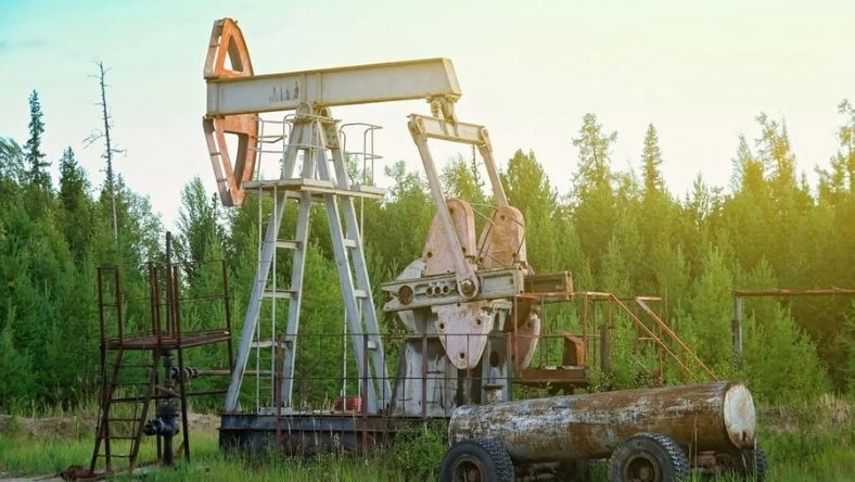 Idle oil pumpjack at rural well site surrounded by trees